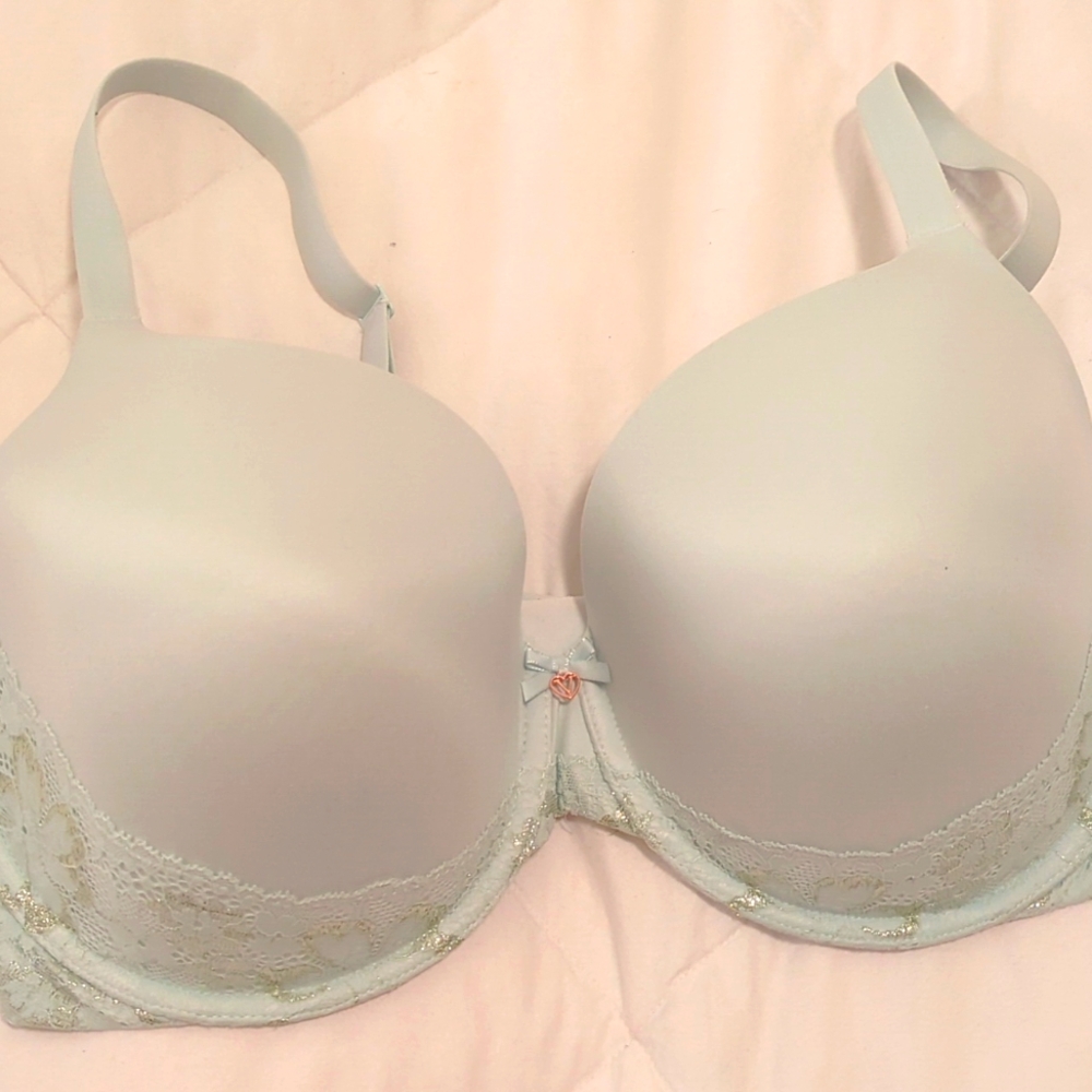 Body by Victoria 38DDD Full Coverage